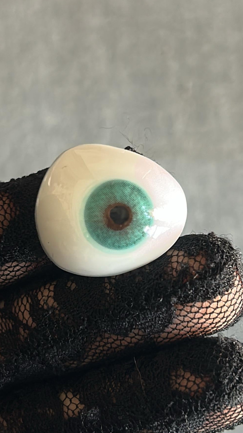 ANDY LENSES