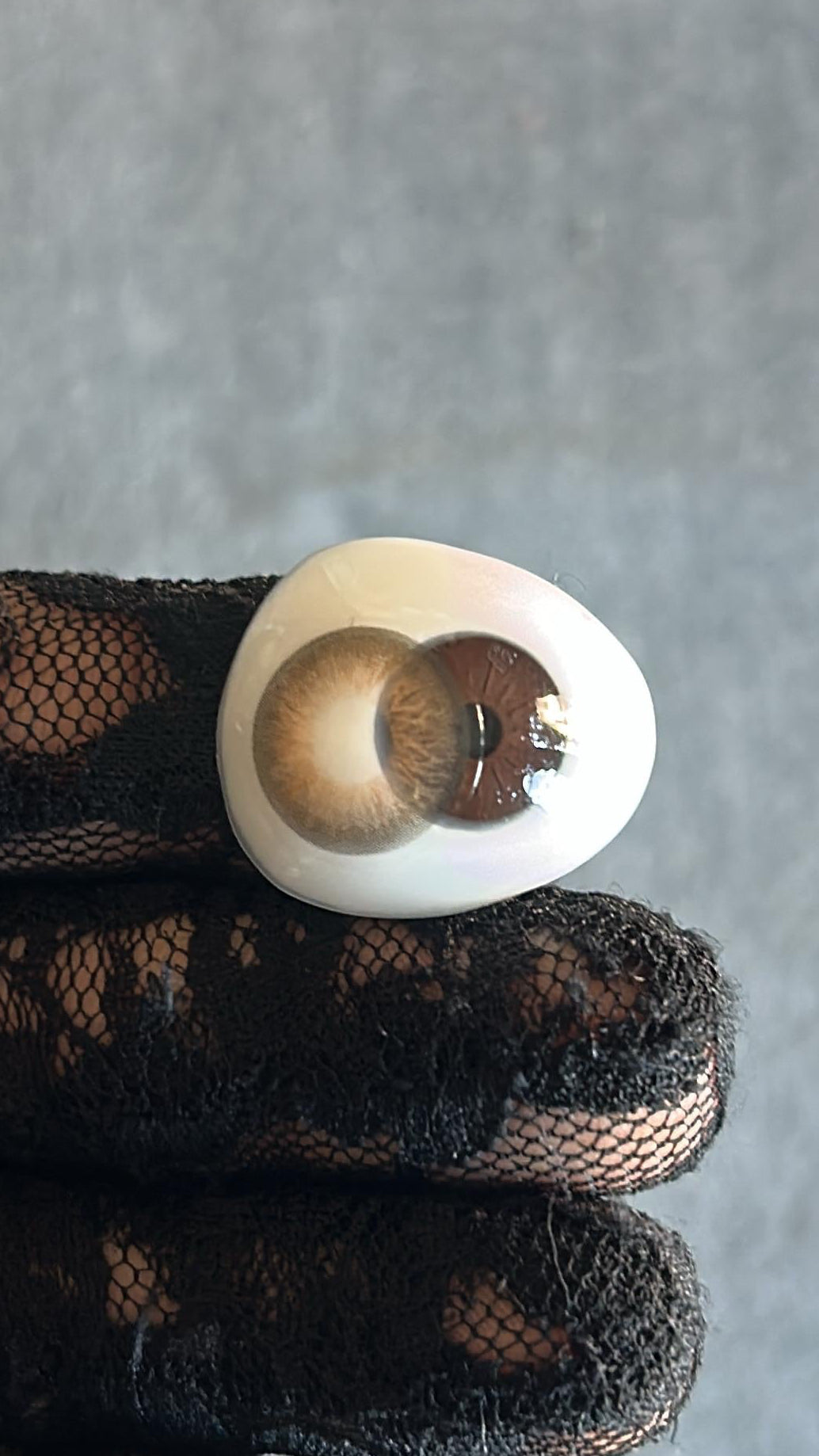 REVE LENSES