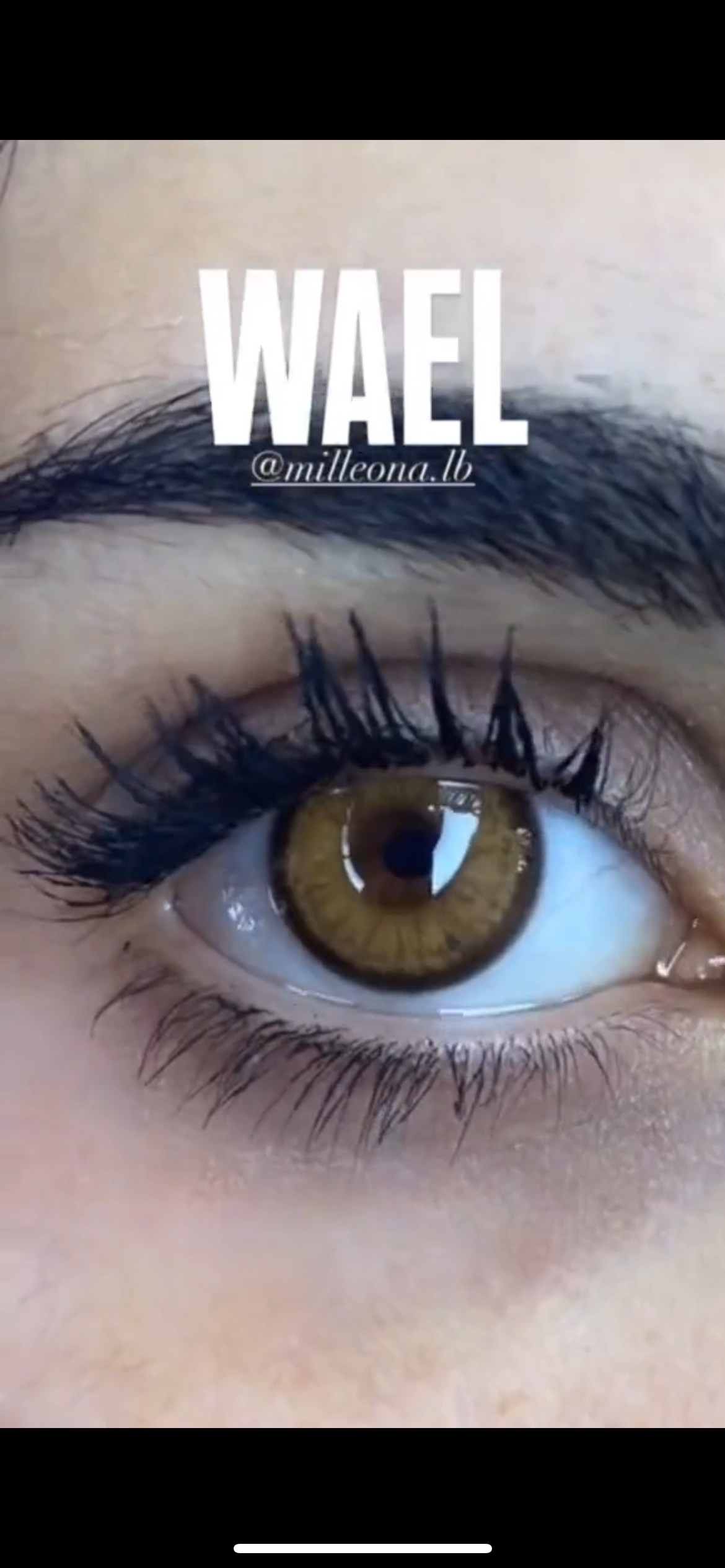 WAEL LENSES