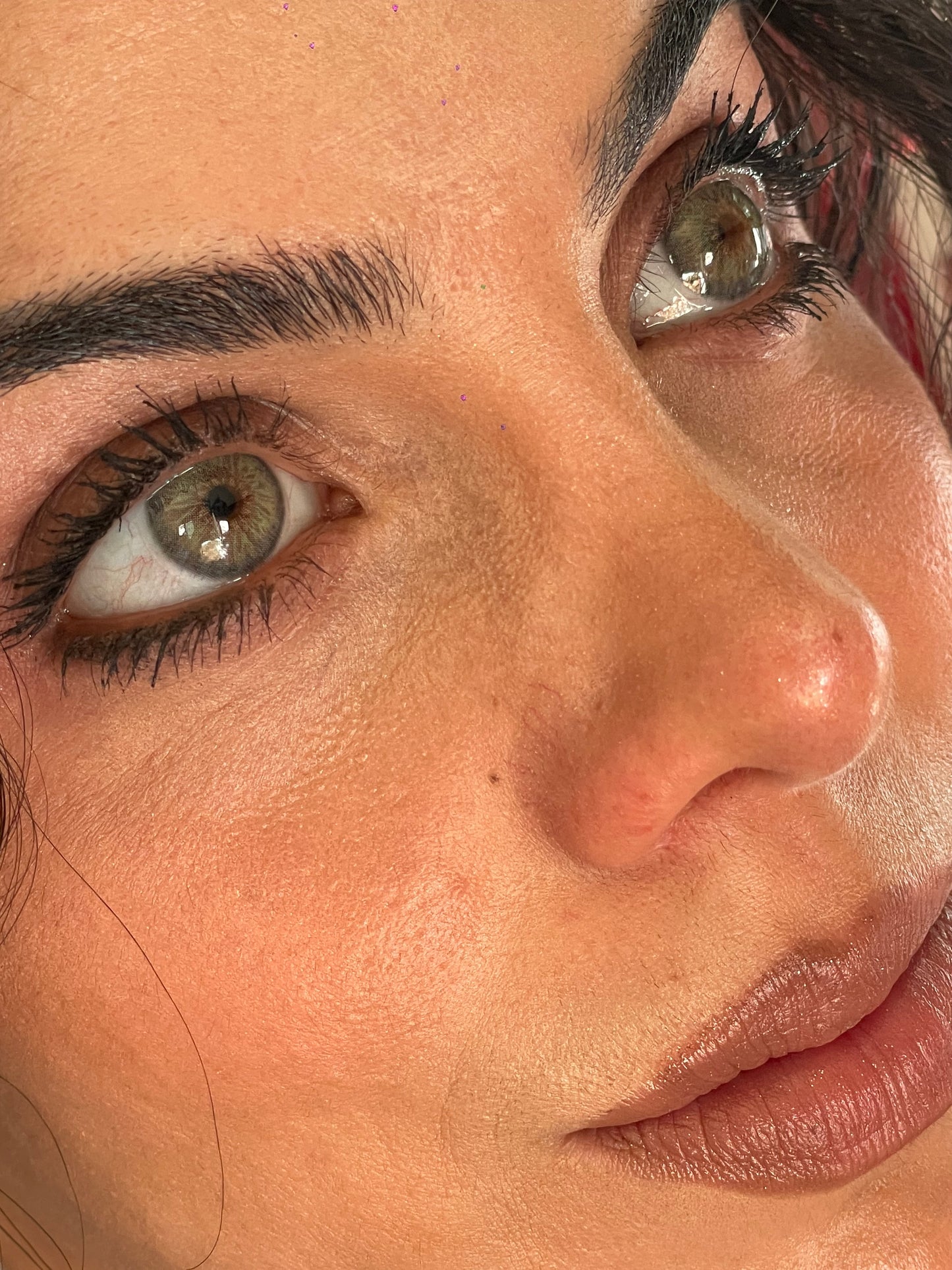 SOFIA